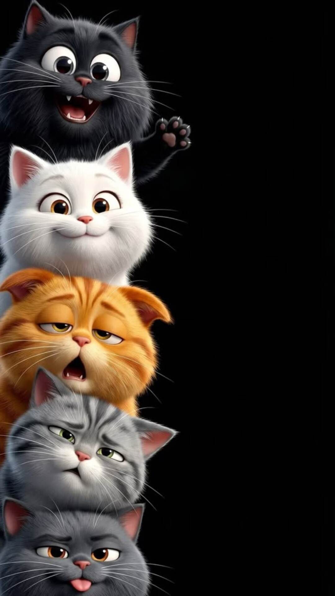 funny cats