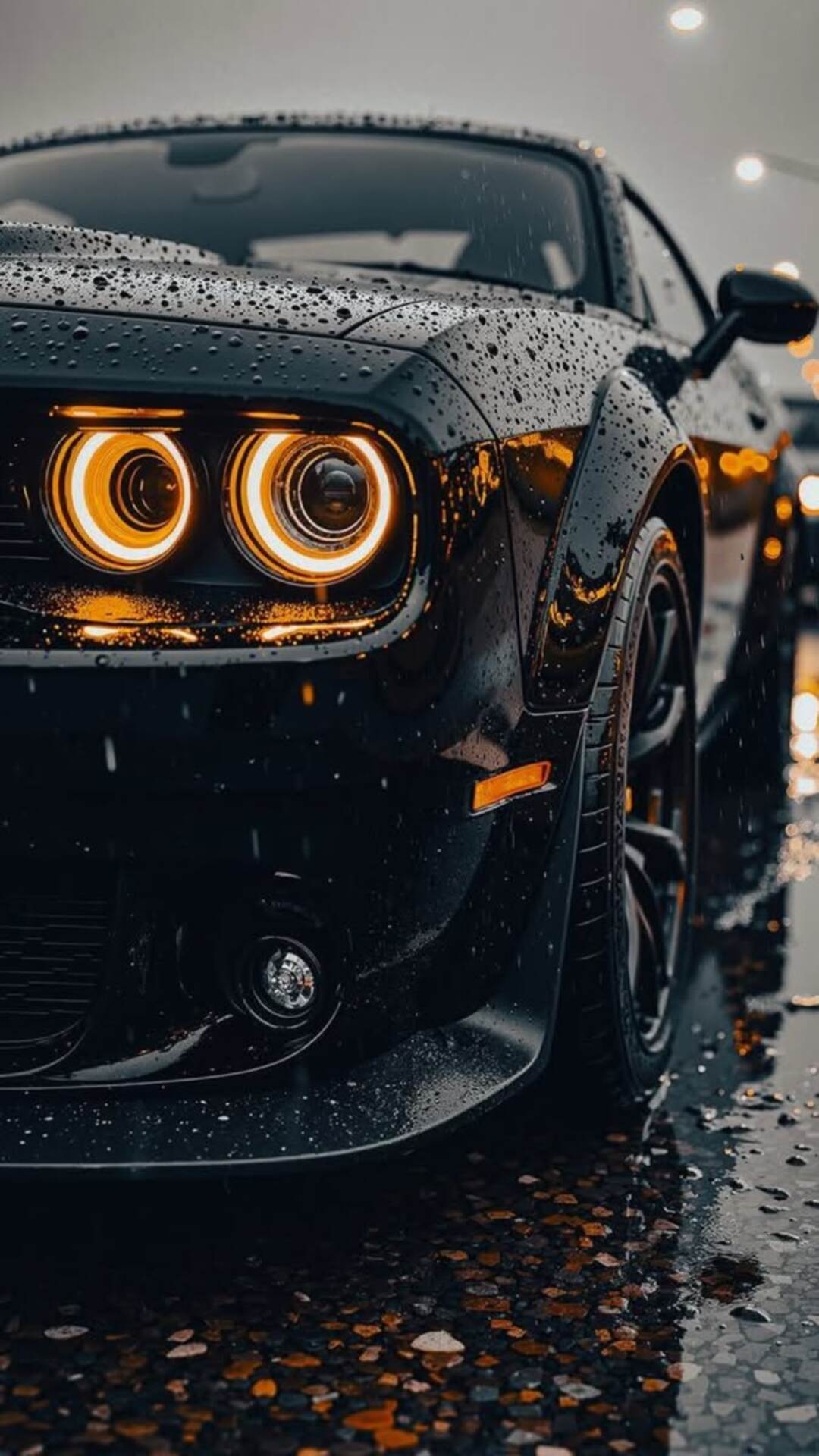 muscle car