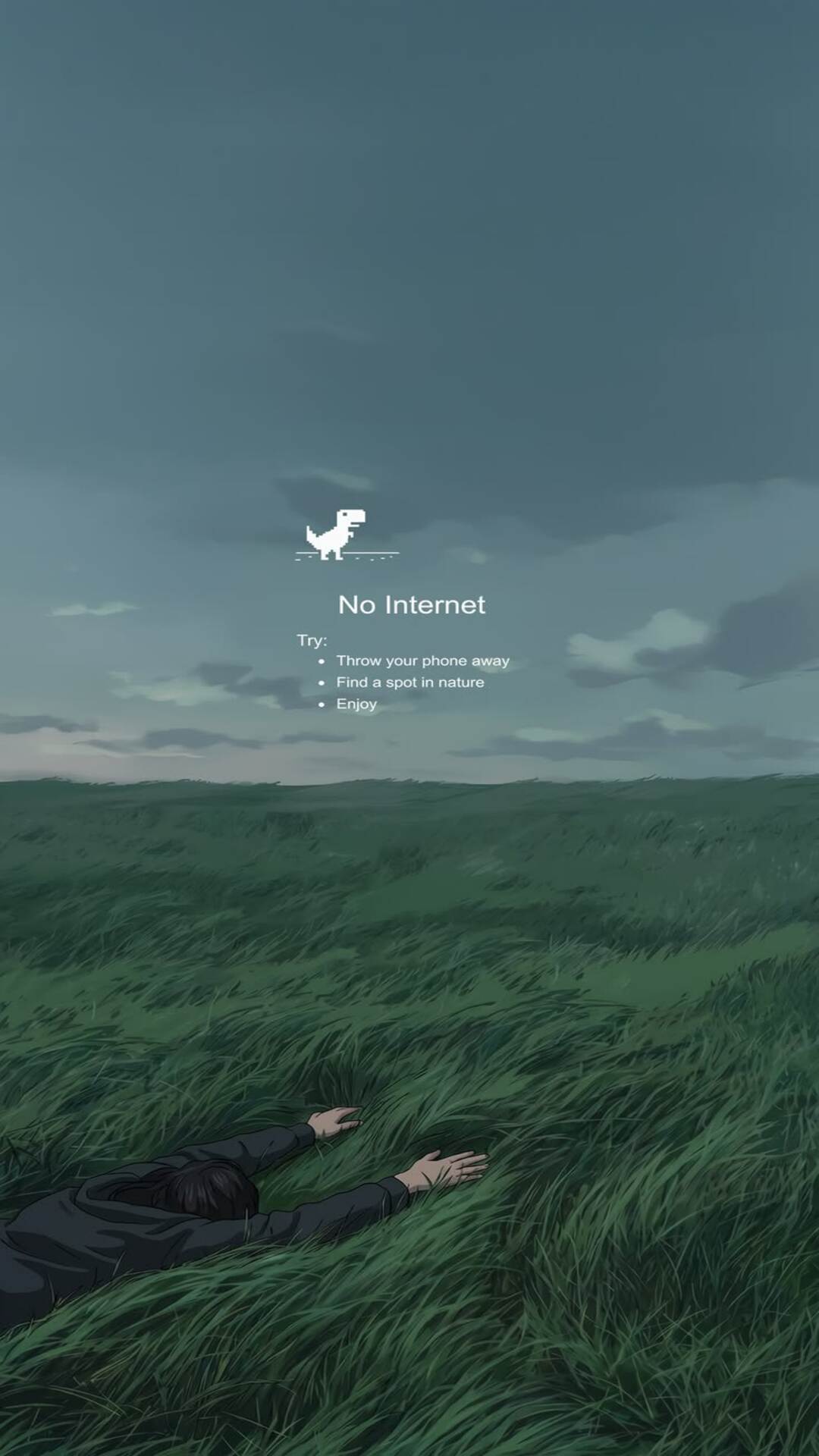 NoInternet